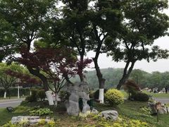 -羊山湖公园