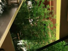-初蓉丨遇见新川菜(亲贤街荣耀店)
