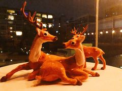 -FOAM LAB 泡沫实验室精酿餐吧