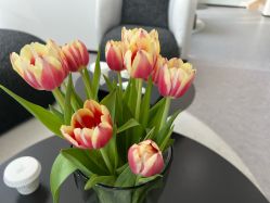 -JNK皮肤管理中心