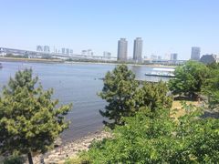 -台场海滨公园船码头