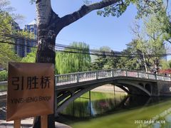-团结湖公园