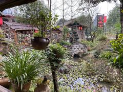 -青城甲(青城山店)