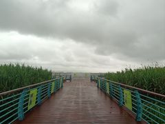 -上海吴淞炮台湾国家湿地公园