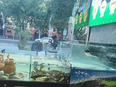 -唐坊·湖南菜(丰尚国际店)