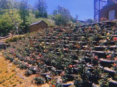 -清风小镇闯关东影视基地