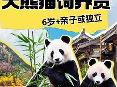 -中国大熊猫保护研究中心雅安碧峰峡基地