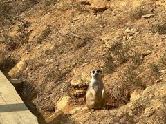 -杭州野生动物世界