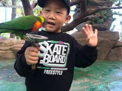 -西霞口神雕山野生动物世界