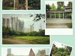android_upload_pic-小洲村