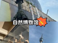 -陕西自然博物馆