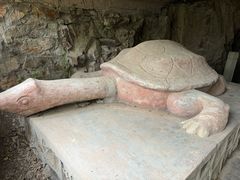 -上海佘山国家森林公园天马山园