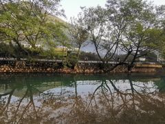 -四明山国家森林公园