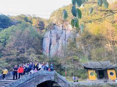 -四明山国家森林公园