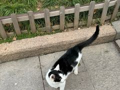 -西园寺素食(西园弄戒幢律寺店)