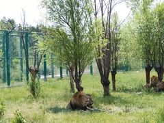 -鄂尔多斯野生动物园