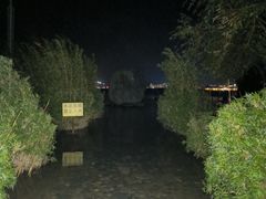 -洱海月湿地公园