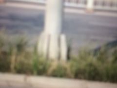 -丰台科技园生态主题公园