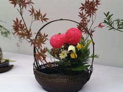 -重庆市江北嘴中央商务区中央公园