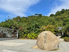 -阳台山森林公园