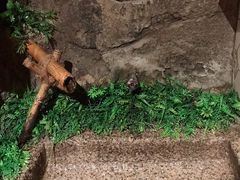 -老湘亲·品鉴湘菜(湖里店)