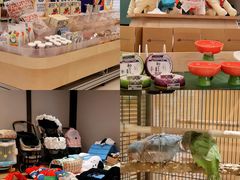 -帕帕拉兹宠物(亚洲旗舰店)