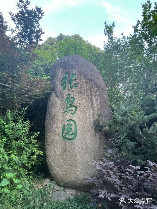 张鸟园农家乐(张鸟园店)图片