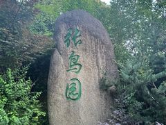 -张鸟园农家乐(张鸟园店)