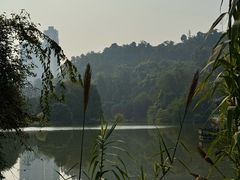 -张坝桂圆林公园
