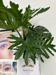 -UN·桃喜日系美睫美甲