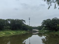 -万泉公园