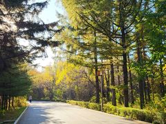 -长春市南湖公园