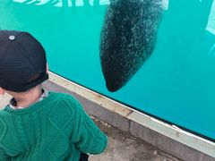 -北戴河圣蓝海洋公园