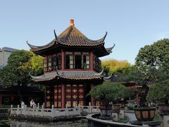-碧江金楼