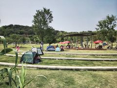 -牛岗山公园