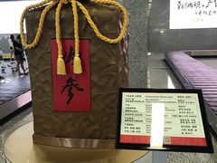 -张家界荷花国际机场