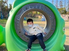 -上海长兴岛郊野公园