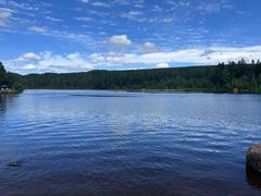 -五营红松林海景区