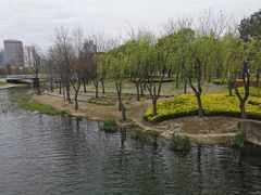 -重庆小面