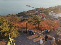 -青岛海滨风景区小鱼山