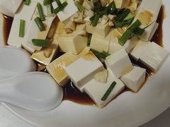 家常嫩豆腐-南花桥羊肉馆老字号(乌镇店)
