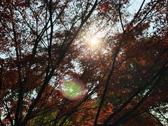 -长广溪湿地公园