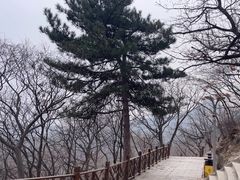 -青岩寺风景区