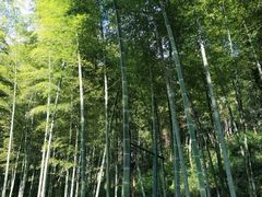 -黄公望隐居地