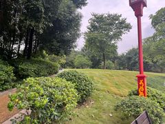 -眉山湿地公园(东坡区)