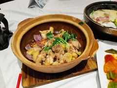-稻香酒家·34年老字号·港式粤菜(侨光店)