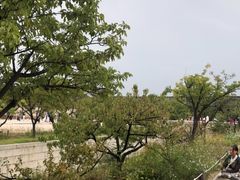 -景福宫
