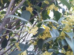 -boundaries籬苑(瑞光创意工厂-贰号院店)