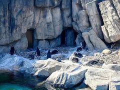 -上海野生动物园