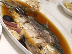 酒香鲥鱼-老吉士(环贸iapm店)